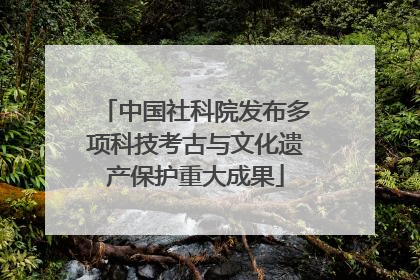 中国社科院发布多项科技考古与文化遗产保护重大成果