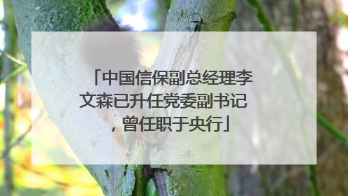 中国信保副总经理李文森已升任党委副书记，曾任职于央行