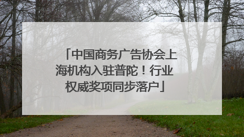 中国商务广告协会上海机构入驻普陀！行业权威奖项同步落户