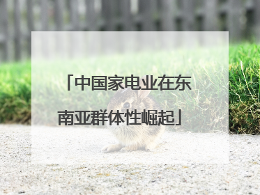 中国家电业在东南亚群体性崛起