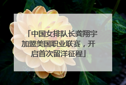 中国女排队长龚翔宇加盟美国职业联赛，开启首次留洋征程