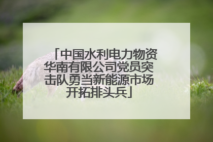 中国水利电力物资华南有限公司党员突击队勇当新能源市场开拓排头兵