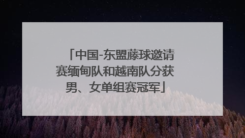 中国-东盟藤球邀请赛缅甸队和越南队分获男、女单组赛冠军