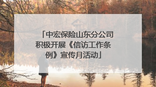中宏保险山东分公司积极开展《信访工作条例》宣传月活动
