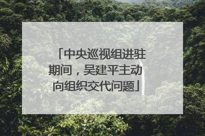 中央巡视组进驻期间，吴建平主动向组织交代问题