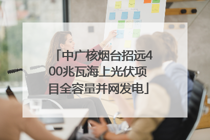 中广核烟台招远400兆瓦海上光伏项目全容量并网发电