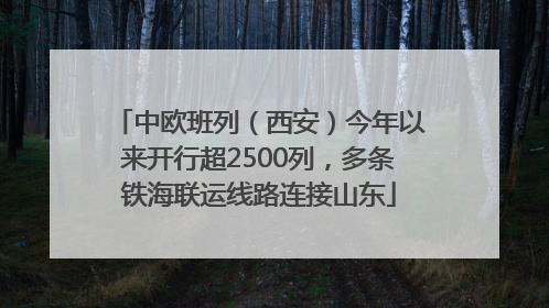 中欧班列（西安）今年以来开行超2500列，多条铁海联运线路连接山东