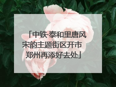 中铁·泰和里唐风宋韵主题街区开市 郑州再添好去处