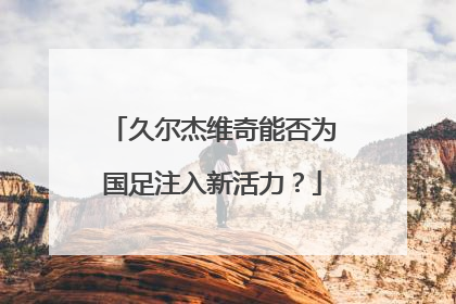 久尔杰维奇能否为国足注入新活力？
