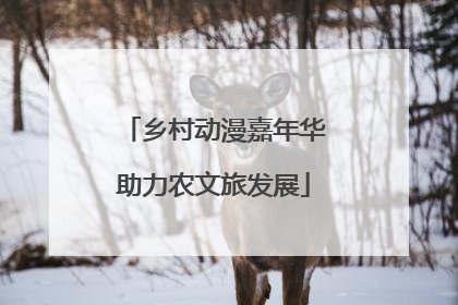 乡村动漫嘉年华助力农文旅发展