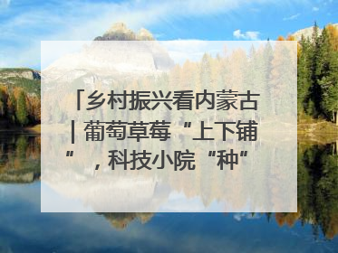 乡村振兴看内蒙古｜葡萄草莓“上下铺”，科技小院“种”出三倍效益