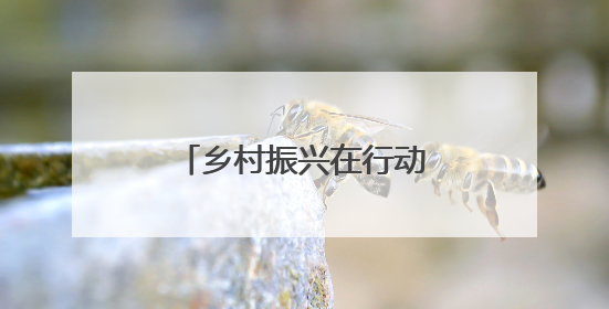 乡村振兴在行动｜安徽潜山：全域旅游绘就“景美业兴民富”新画卷