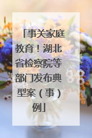 事关家庭教育！湖北省检察院等部门发布典型案（事）例