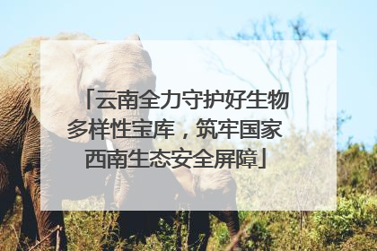 云南全力守护好生物多样性宝库，筑牢国家西南生态安全屏障
