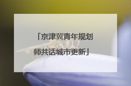 京津冀青年规划师共话城市更新