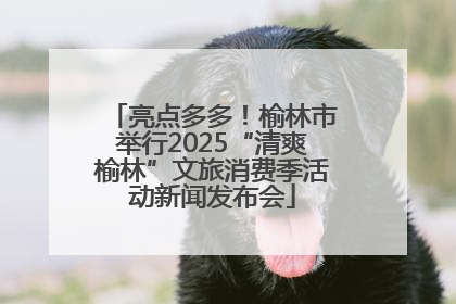 亮点多多！榆林市举行2025“清爽榆林”文旅消费季活动新闻发布会