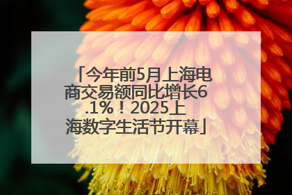 今年前5月上海电商交易额同比增长6.1%！2025上海数字生活节开幕