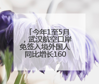 今年1至5月，武汉航空口岸免签入境外国人同比增长160.87%