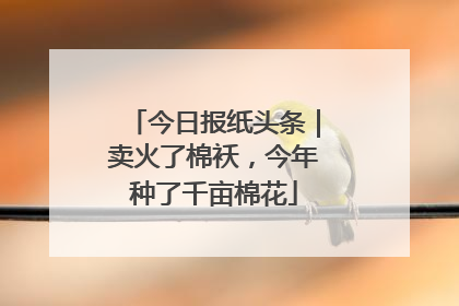 今日报纸头条｜卖火了棉袄，今年种了千亩棉花
