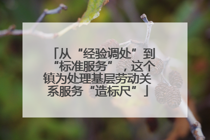 从“经验调处”到“标准服务”，这个镇为处理基层劳动关系服务“造标尺”