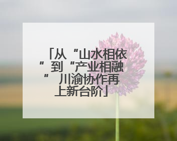 从“山水相依”到“产业相融” 川渝协作再上新台阶