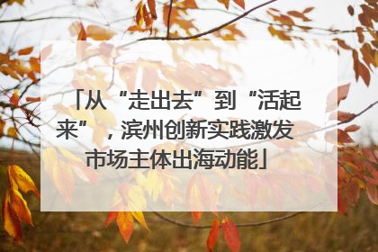 从“走出去”到“活起来”，滨州创新实践激发市场主体出海动能