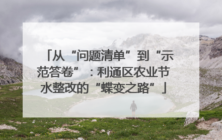 从“问题清单”到“示范答卷”：利通区农业节水整改的“蝶变之路”