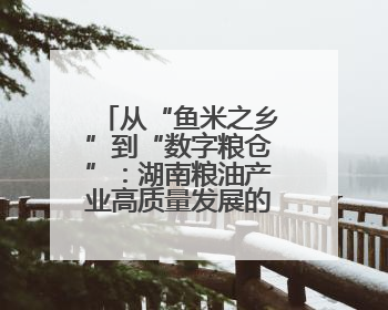 从“鱼米之乡”到“数字粮仓”：湖南粮油产业高质量发展的创新实践