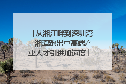 从湘江畔到深圳湾，湘潭跑出中高端产业人才引进加速度