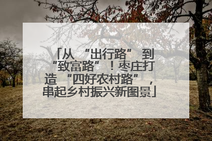 从 “出行路” 到 “致富路”！枣庄打造 “四好农村路”，串起乡村振兴新图景