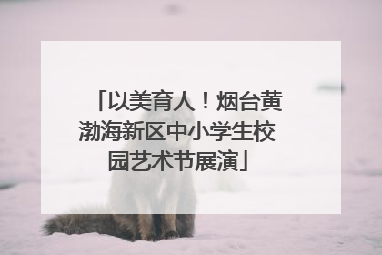 以美育人！烟台黄渤海新区中小学生校园艺术节展演