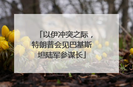 以伊冲突之际，特朗普会见巴基斯坦陆军参谋长