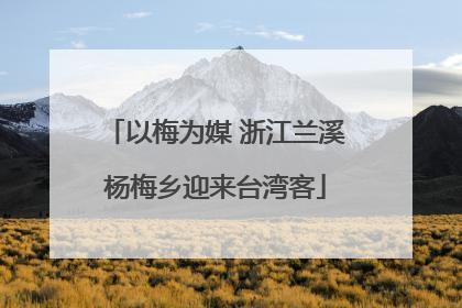 以梅为媒 浙江兰溪杨梅乡迎来台湾客