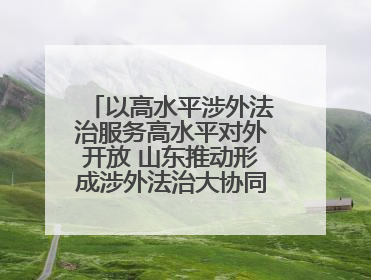 以高水平涉外法治服务高水平对外开放 山东推动形成涉外法治大协同工作格局