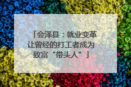 会泽县：就业变革让曾经的打工者成为致富“带头人”