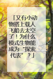 又有小动物搭上载人飞船去太空了！为什么模式生物能成为“探索代表”？
