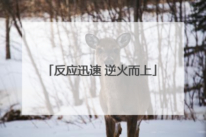 反应迅速 逆火而上