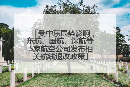 受中东局势影响，东航、国航、深航等5家航空公司发布相关航线退改政策
