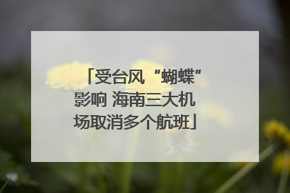 受台风“蝴蝶”影响 海南三大机场取消多个航班