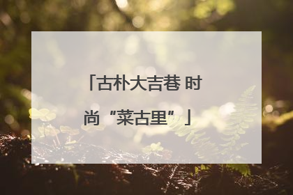 古朴大吉巷 时尚“菜古里”