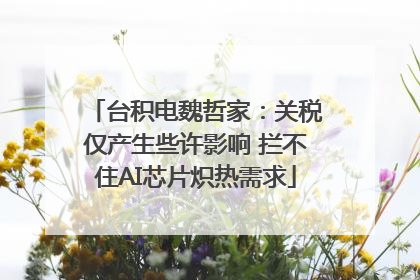 台积电魏哲家：关税仅产生些许影响 拦不住AI芯片炽热需求