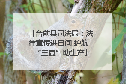 台前县司法局：法律宣传进田间 护航“三夏”助生产