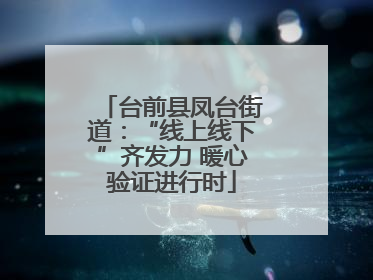 台前县凤台街道：“线上线下”齐发力 暖心验证进行时
