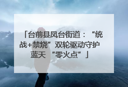 台前县凤台街道：“统战+禁烧”双轮驱动守护蓝天 “零火点”