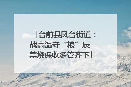 台前县凤台街道：战高温守“粮”辰 禁烧保收多管齐下