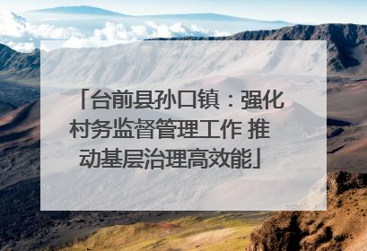 台前县孙口镇：强化村务监督管理工作 推动基层治理高效能
