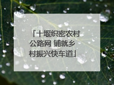 十堰织密农村公路网 铺就乡村振兴快车道