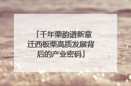 千年栗韵谱新章 迁西板栗高质发展背后的产业密码