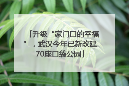 升级“家门口的幸福”，武汉今年已新改建70座口袋公园