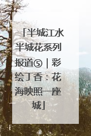 半城江水半城花系列报道⑤｜彩绘丁香：花海映照一座城